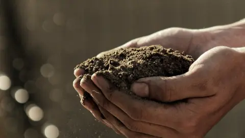 Soil in hands