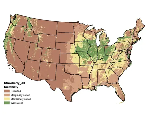 Strawberry Clover Climate and Soil US Map