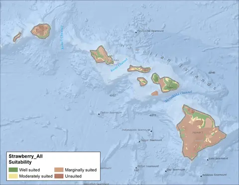 Strawberry Clover Soil and Climate Hawaii Map