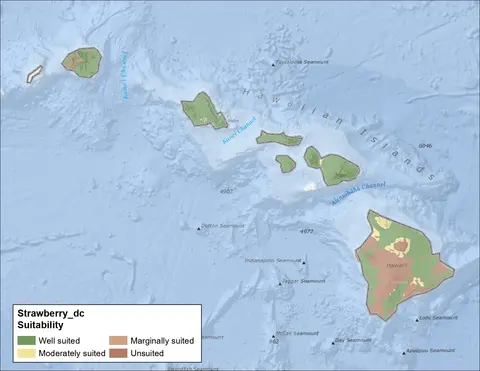 Strawberry Clover Drainage Hawaii Map