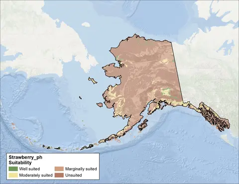 Strawberry Clover pH Alaska Map