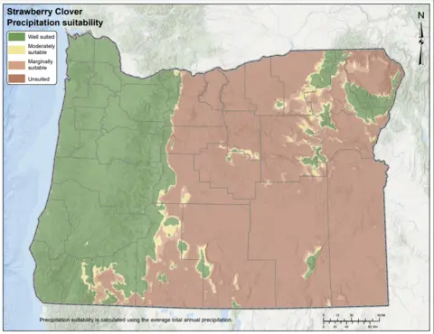 Strawberry Clover Precipitation Oregon Map