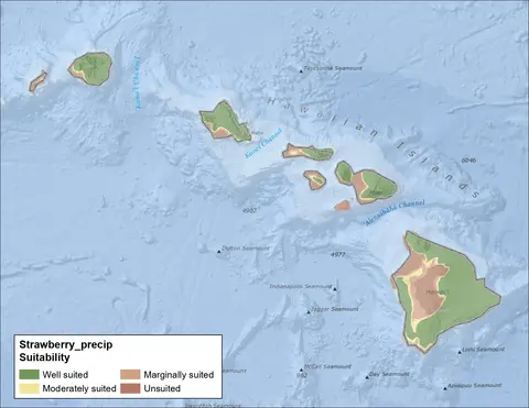 Strawberry Clover Precipitation Hawaii Map