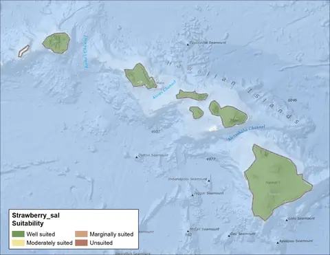 Strawberry Clover Salinity Hawaii Map