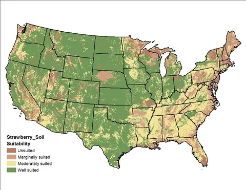 Strawberry Clover Soil US Map