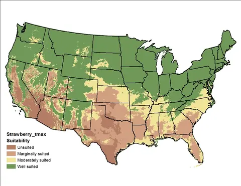 Strawberry Clover Temperature Maximum US Map