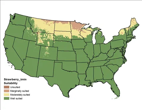 Strawberry Clover Temperature Minimum US Map