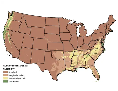 A map of the United States showing tree population by state, with colors representing different tree density levels.
