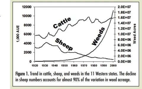 Sheep and Cattle Grazing