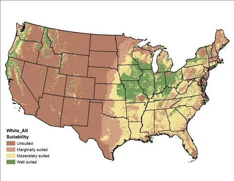 Map of the USA showing white_tmin suitability, with highlighted regions indicating varying levels from unsuited to well suited.