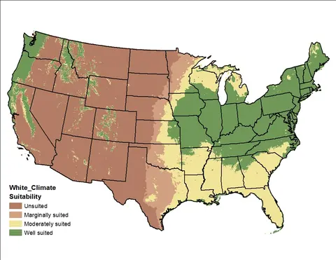 Map of the USA showing white_tmin suitability, with highlighted regions indicating varying levels from unsuited to well suited.