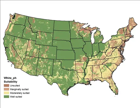 Map of the USA showing white_tmin suitability, with highlighted regions indicating varying levels from unsuited to well suited.