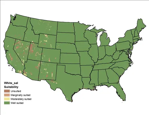 Map of the USA showing white_tmin suitability, with highlighted regions indicating varying levels from unsuited to well suited.