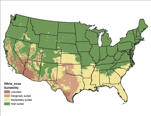 Map of the USA showing white_tmin suitability, with highlighted regions indicating varying levels from unsuited to well suited.