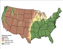 Crimson Clover Precipitation US Map
