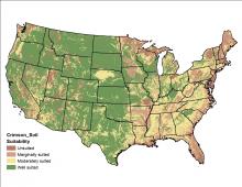 Crimson Clover Soil Map