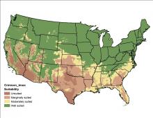 Crimson Clover Maximum Temperature US Map