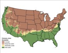 Crimson Clover Minimum Temperature US Map